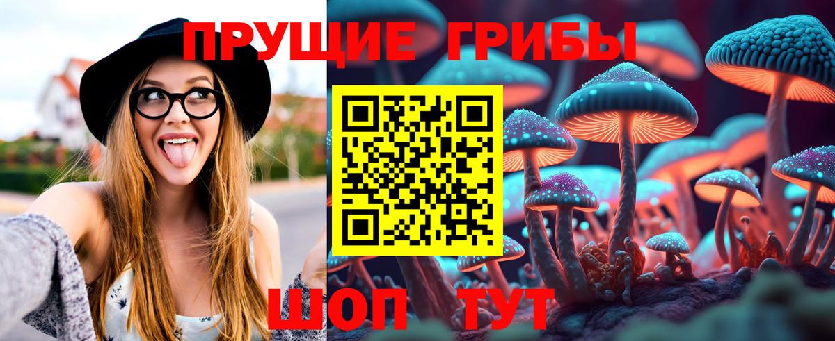 Псилоцибиновые грибы Psilocybe Тихвин