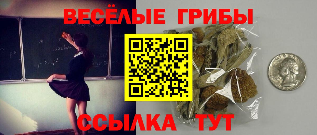 Псилоцибиновые грибы GOLDEN TEACHER  Вход с VPN  цена наркотик  Тихвин 